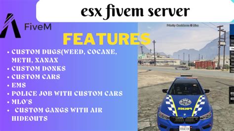 Create Professional Esx Fivem Server With Premium Scripts By Bright