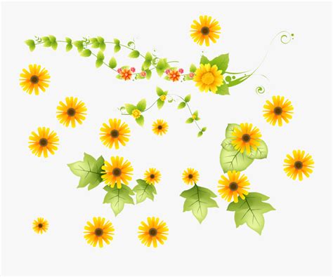 Collection Of Free Sunflower Transparent Vine African
