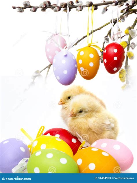 Chickens And Easter Eggs Stock Image Image Of Soft Born 34404993