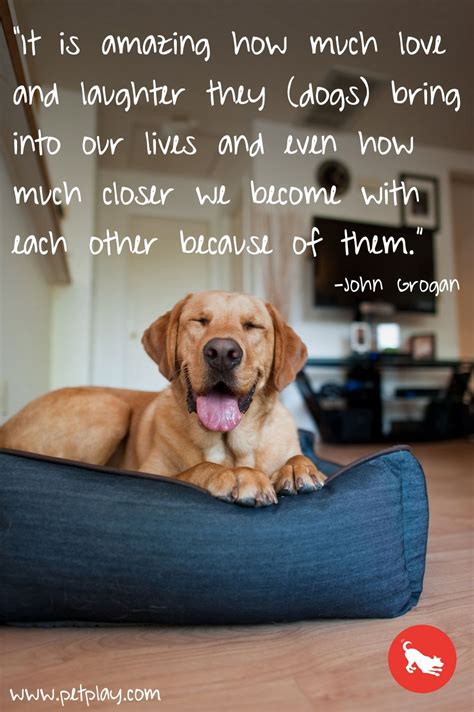 Pin By Eddie With Sara Always In My H On Dogs Dog Lover Quotes