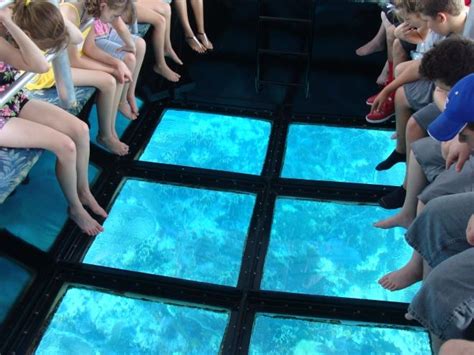 A Glass Bottom Boat Ride Is A Great Way To See The John Pennekamp Coral