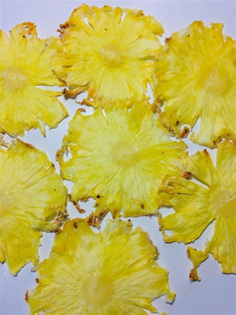 10 Dried Pineapple Slice Dehydrated Pineapple Slices Dried Etsy