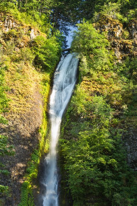 Horsetail Waterfalls In Columbia Gorge Stock Image Image Of Outdoor