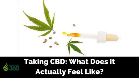 Taking Cbd What Does It Actually Feel Like Cannabidiol 360