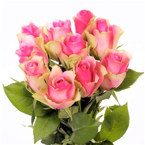 Free Photo Beautiful Bouquet Of Pink Roses Isolated On White
