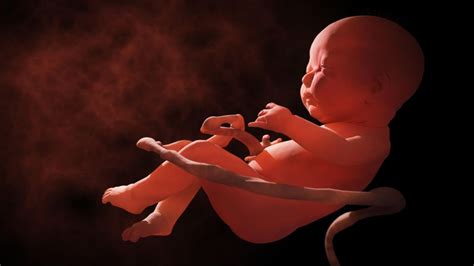 Dein baby ist jetzt 7 wochen alt. 9. SSW: Das passiert in der 9. Schwangerschaftswoche ...