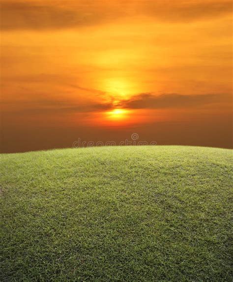 Green Grass Field With Sunset Sky Stock Image Image Of Meadow Season