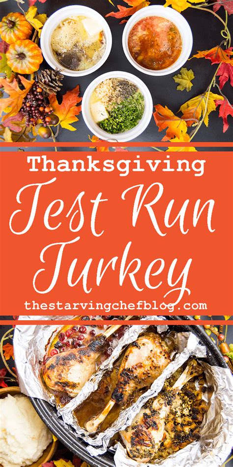 how to make a test run turkey the starving chef