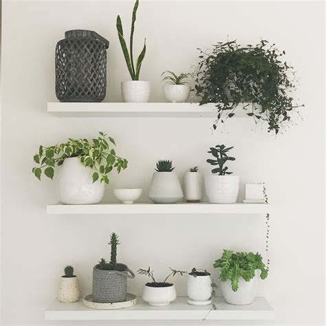White Floating Shelves Living Wall White Pots House Plants White