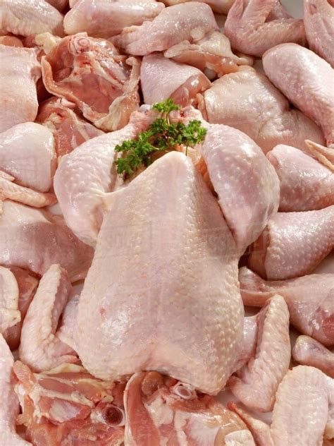 Raw Chicken On Chicken Pieces Stock Photo Dissolve