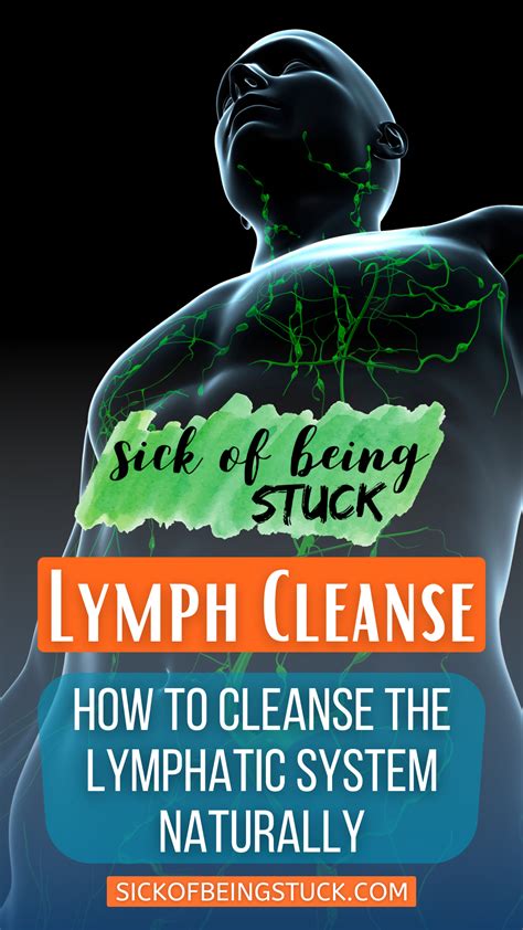 Lymphatic System Cleanse How To Cleanse The Lymphatic System Naturally