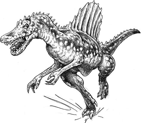Spinosaurus Coloring Page Spinosaurus Coloring Pages Realistic Btte