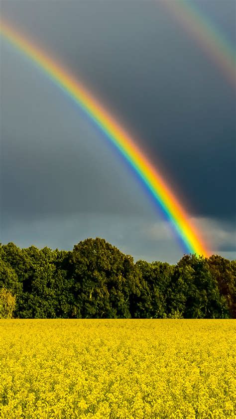 Der regenbogen kommt durch lichtberechnung (auch refraktion in der physik genannt) an wassertröpfchen zustande. Regenbogen : Die 7 Farben Des Regenbogens Als Infografik ...