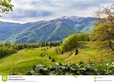 Carpathian Spring Landscape Stock Image Image Of Mountains Awakening