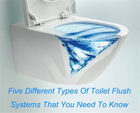 Five Different Types Of Toilet Flush Systems That You Need To Know