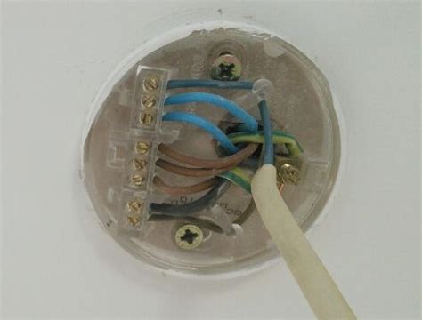 Begin your home improvement journey. Replace a ceiling rose - double-check | DIYnot Forums