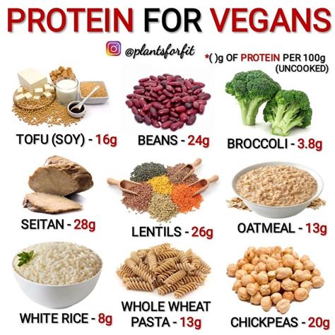 ⏩ What Are Your Favorite Vegan Protein Sources ⏪⏩ Comment Below 💡 👉