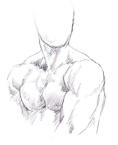 Full lesson on drawing three types of male torso, with real life explanations on muscles, adapted for manga and anime. buff guy doodle by Zombiesmile on DeviantArt