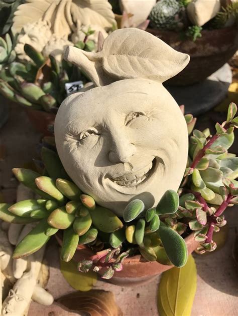 Pin On Sexy Succulents