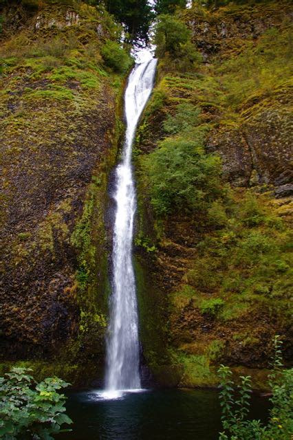 Filehorsetail Falls Columbia Gorge Hiking In Portland Oregon