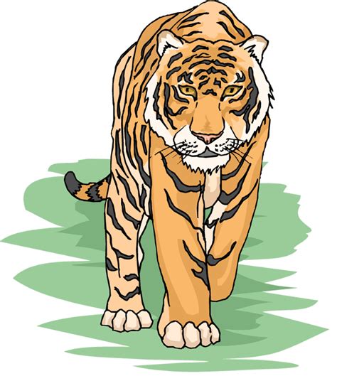 Cartoon Tiger Clipart Clip Art Bay