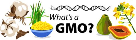 Why We Oppose Gmo Labeling Science And The Law Huffpost