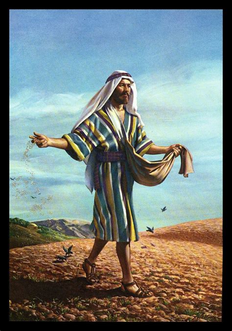 The Parable Of The Sower A Parable About Seed Sown On Four Different