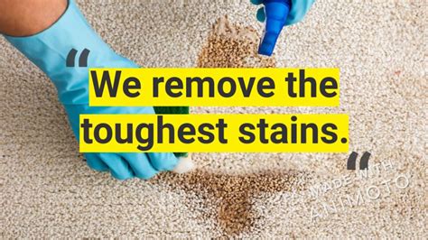 Carpet cleaning, upholstery cleaning, tile cleaning Carpet Cleaner Mesquite TX - MQ Carpet Cleaning - 469-369 ...