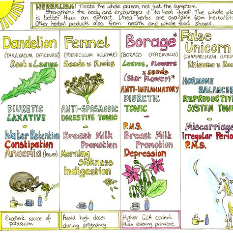 Maybe you would like to learn more about one of these? Woman's Healing Herbs Chart - Liz Cook Charts