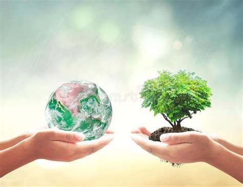 What Is Global Warming Its Causes And Solution What Is Global