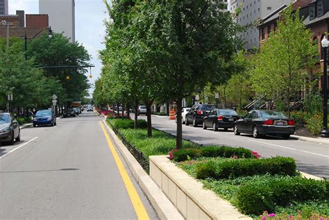 How To Select The Best Trees For City Street Plantings Emi Landscape