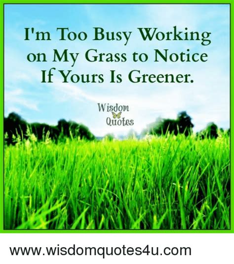 Besides, it is better to hear our new release in good quality, not. I'm Too Busy Working on My Grass to Notice if Yours Is ...