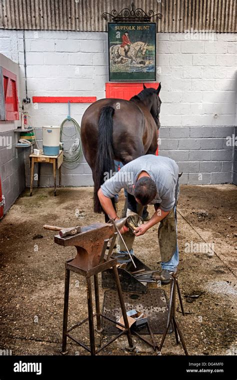 Farrier Shoeing A Horse Stock Photo Alamy