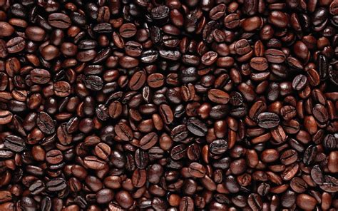 Coffee HD Wallpaper | Background Image | 1920x1200 | ID:381485 ...
