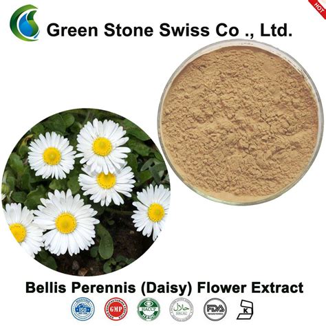 Bellis Perennis Daisy Flower Extract In 2021 Bellis Perennis Daisy