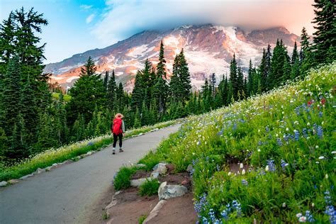 Hiking The Jaw Dropping Skyline Loop Trail At Mt Rainier National Park