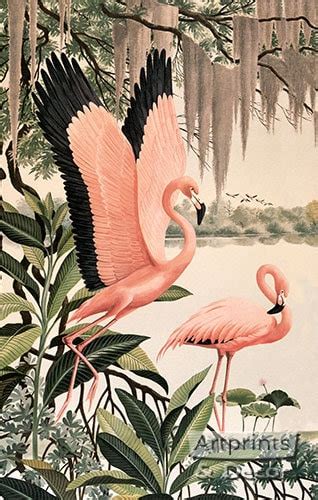 Pink Flamingos Art Print Of Vintage Art 15 X 24 Image Size Etsy