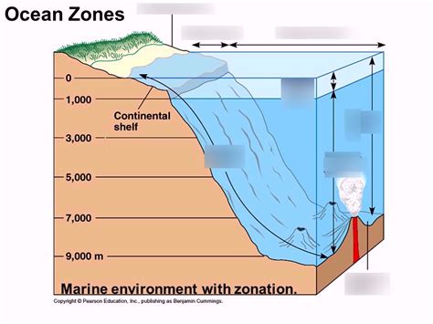 Aquatic Ecosystems Label The Different Aquatic Zones Diagram Quizlet