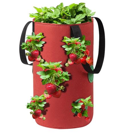 Dystyle Hanging Strawberry Planting Grow Bags With Handles Thicken