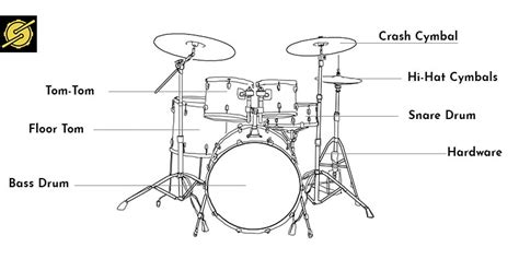 Drums Anatomy 101 Parts Of A Drum Set Explained In 2023 58 Off