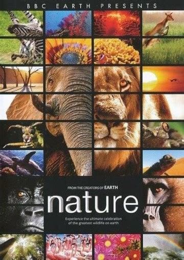 Bbc Earth Nature Nieuw Gebruikte Dvds