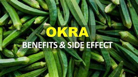 What are the effects of excess vitamin? Okra Benefits and Side Effects Okra Benefits and Side ...