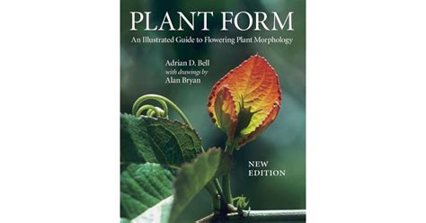 Plant Form An Illustrated Guide To Flowering Plant Morphology By Adrian D Bell