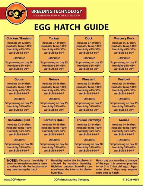 If you have an incubator that has no trays you can of course lay the duck eggs on their sides. Prepper Project: 5 Ways To Build A Chicken Incubator ...