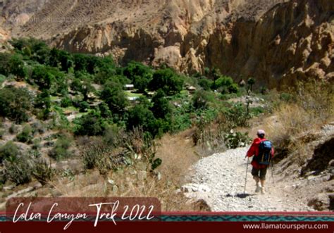 Colca Canyon Trek Via Tapay 3 Days Arequipa Hiking Tour 2023 By