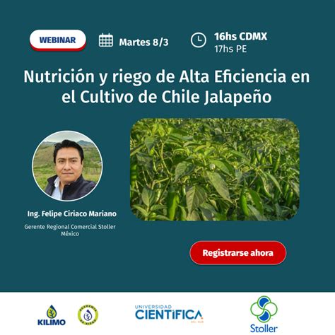 Nutrición y riego de Alta Eficiencia en el Cultivo de Chile Jalapeño PortalFruticola com