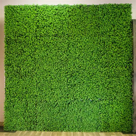 Green Hedge Wall Backdrop M Event Rentals