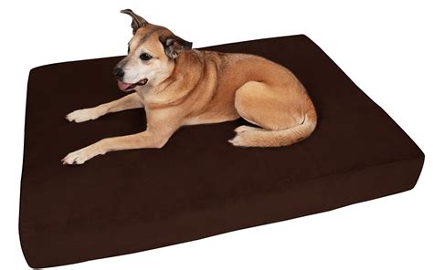 Best Dog Beds For Small And Large Dogs Your Pet Land