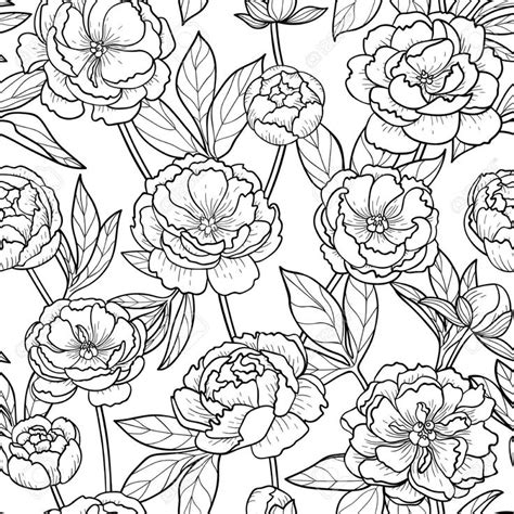 Peony Flowers And Leaves Seamless Pattern Floral Romantic Outline