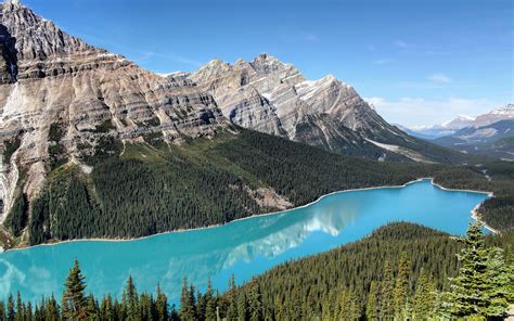 Download Wallpapers Peyto Lake Canada 4k Banff Mountains Forest